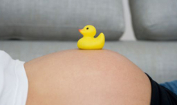 本港生育率持續下降 促建立「家庭優先」、「男女角色平等」價值