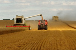 2008年全球糧食產量創新高 33國卻仍待糧援