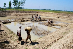 緬甸風災一周年 宣明會全力推進災後重建工作