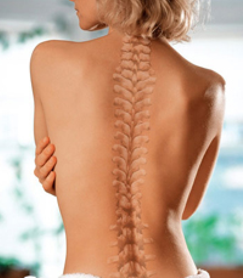 【現代養生】人體結構的根基