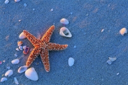 如何令世界更美好?