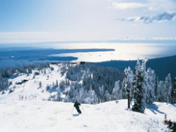 基督徒團體對參與冬奧會存在不同看法