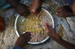 世界人口40年後增至68億 糧食生產存在壓力