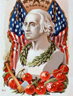 華盛頓總統的誠實之風