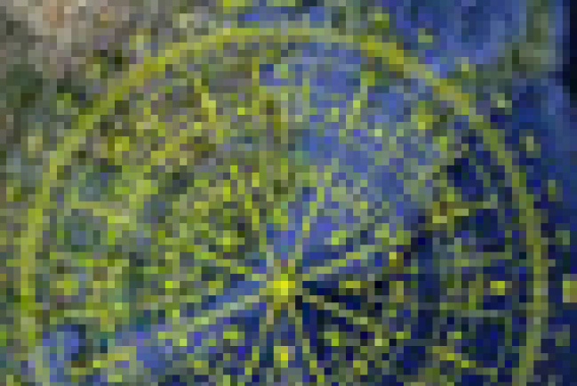 透視日本311大地震的慘劇