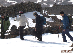 方舟遺骸是真是假？《挪亞方舟驚世啟示2》全球放映