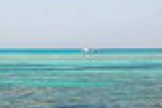 【生命圓舞曲】人生紅海