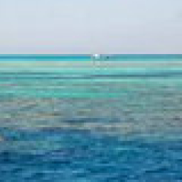 【生命圓舞曲】人生紅海