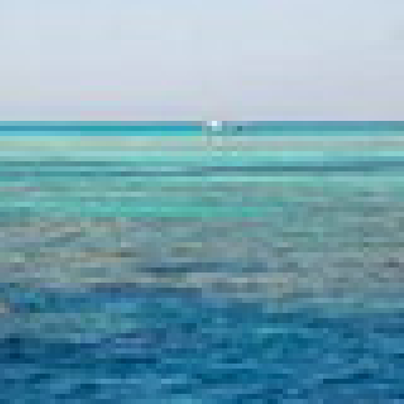 【生命圓舞曲】人生紅海