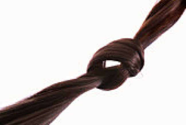 【健髮日誌】頭髮，你天生的「好夥伴」。