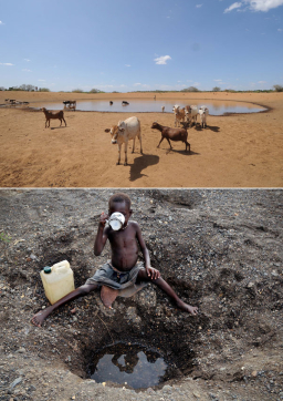 世界水日 展望會籲給東非孩子救命水
