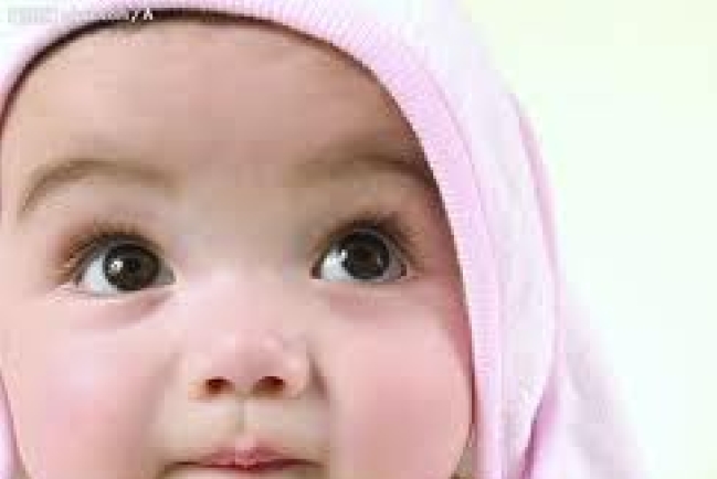 「為加國禱告網絡」籲為保障嬰兒生命法律定義禱告