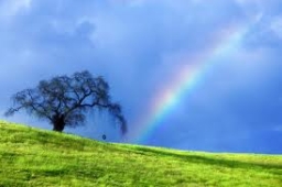 【生命圓舞曲】黑雲後的彩虹