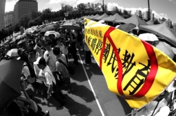9萬巿民高溫下帶子女遊行反對國民教育