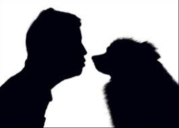 【和諧之歌】生活插曲