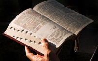 調查揭露八成美國信徒無每日讀經習慣