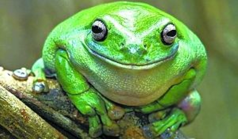 【和諧之歌】生活瑣記六則