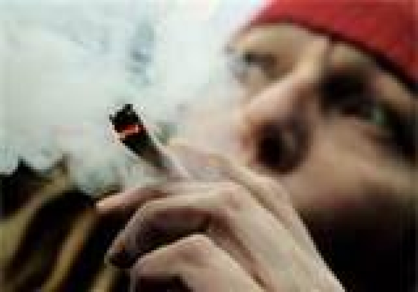 合法化，問題就解決嗎？！（一）