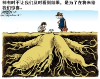 用信心生活(下):神怎樣應許,就怎樣相信