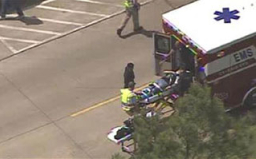 德州孤星學院刺傷事件致14人受傷