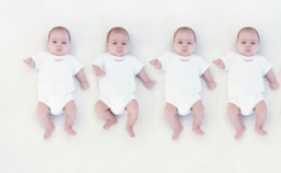 神學院長淺談「複制人」與基督教神學衝突