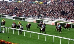 馬會投注額創新高 過來人勸賭徒別「進貢」