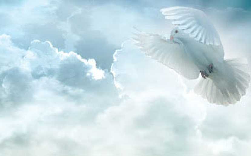 張景祥牧師：聖經與聖靈缺一不可