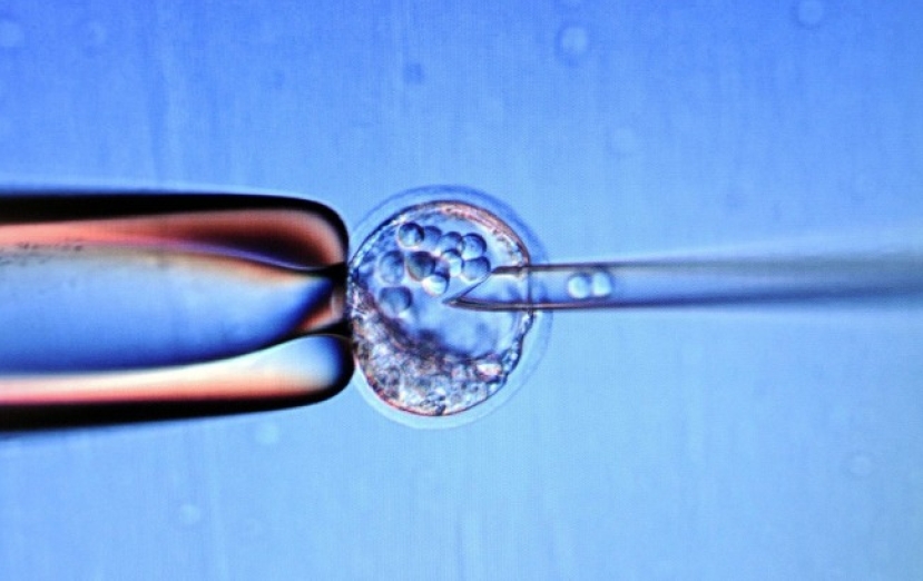 「設計」自己的孩子﹖基因專利惹道德爭議