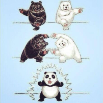 范范懷雙胞胎粉絲力撐：人工或自然都是上帝的禮物