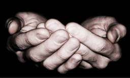 近四分之一的美國家庭在教會領糧食度日