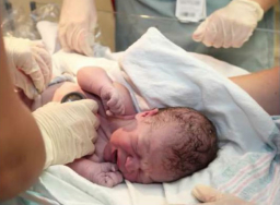 女醫生米歇爾：教孩子變性為何是一種心理虐待