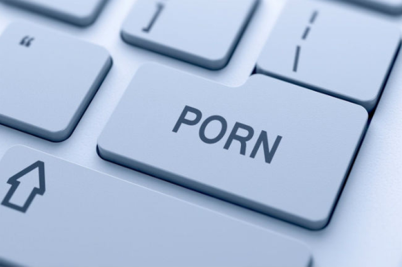 色情資訊難防犯？  美國公司出新招保護孩子