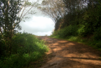 上帝是人永遠的家 唐崇榮牧師籲信徒為永恆而活