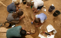 古代基因揭非利士人起源歐洲 證聖經歷史真確