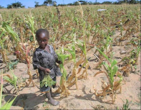 協進會世界公禱日 籲教界關注津巴布韋糧荒