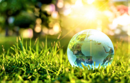 教宗頒《願祢受讚頌》5周年 亞洲教會促信徒綠化地球