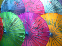 牧者證道：等待是神賜的屬靈保護傘