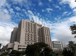 台灣疫情緩和醫院開放探病 院牧稱鬼節談永生別具意義