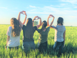 信仰解疑:人际关系触礁宜转教会