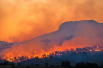聯合國報告：下世紀氣溫升2度 教會救災人類希望