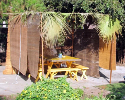 猶太人過住棚節 野外住帳篷默想生死