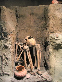 窮人自願了結生命？ 評昆士蘭安樂死法案