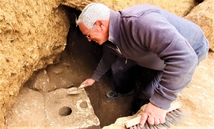 鐵器時代富人廁所出土 發現古代寄生蟲卵　