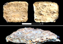 公元前1400年文物出土：巴勒斯坦銘文刻 「耶和華」名字