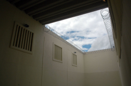 復活節探監日 初期教會的啟示