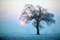 能源價格飆升 英教堂聯合解市民寒冬