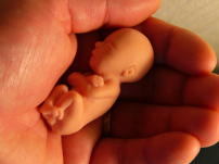 迪士尼與大學支助學生 製作倡議墮胎電影