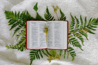 疫下21節經文 提醒基督徒信靠上帝