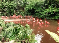 世界濕地日 動植物繁殖地半世紀消失35%