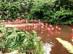 世界濕地日 動植物繁殖地半世紀消失35%